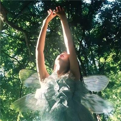 莉莉的魔法圣诞节