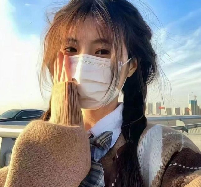 速度与激情：特工飞车手第一季