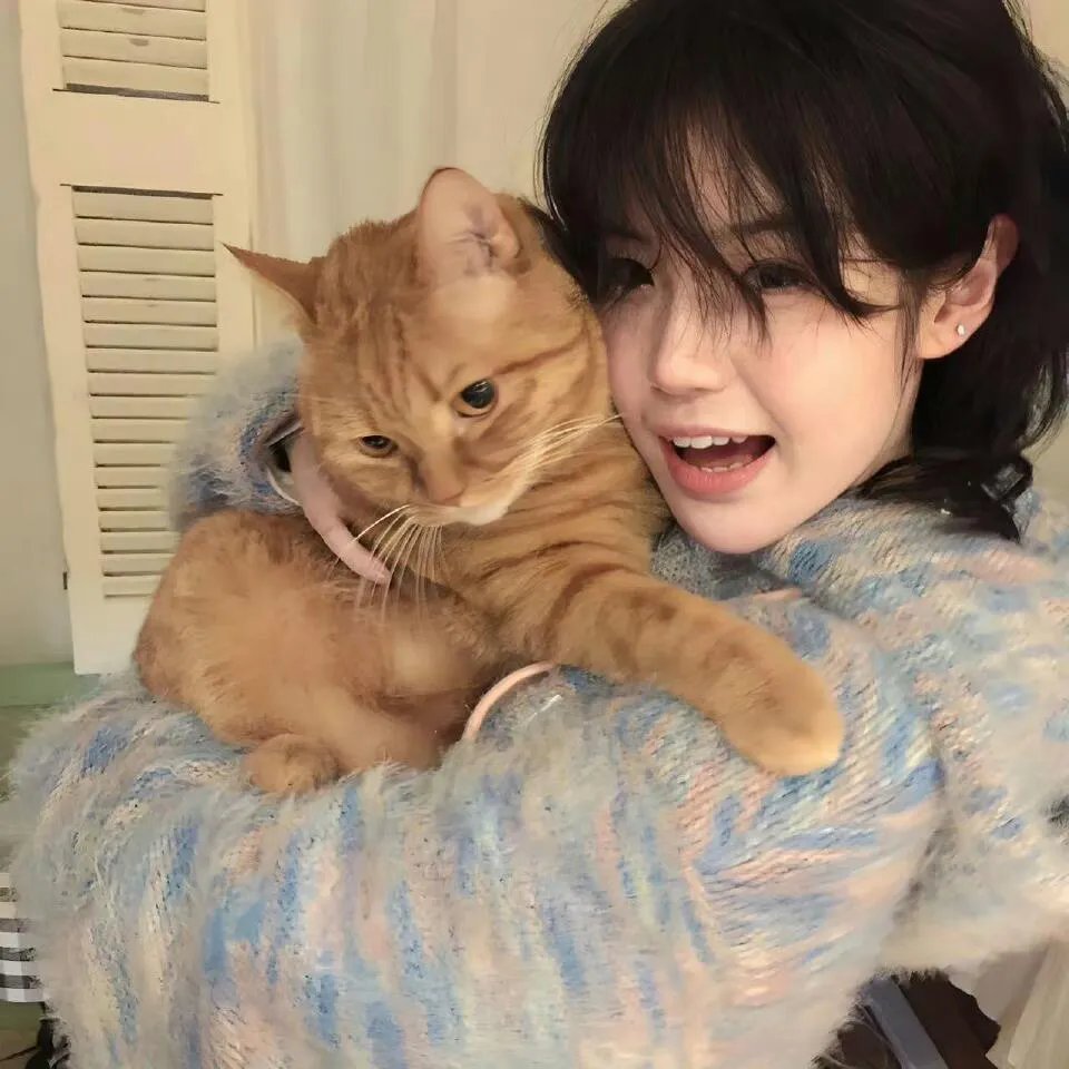 火星情报局第七季